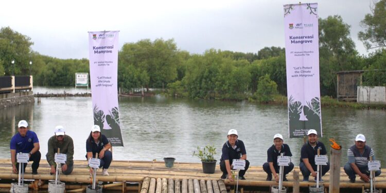 WOM Finance Tanam 1000 Mangrove Bakau di Pantai Tanjung Pasir