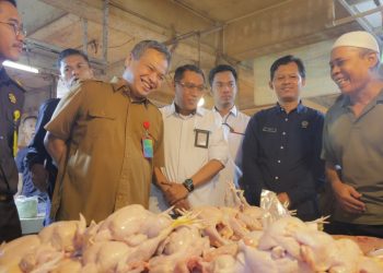 Asisten Daerah (Asda) II Kota Tangerang Selatan, Heru Agus Santoso sidak Pasar Serpong.