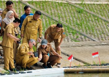Pemkot Tangsel Uji Coba Tanam Padi Apung di Tandon Ciater